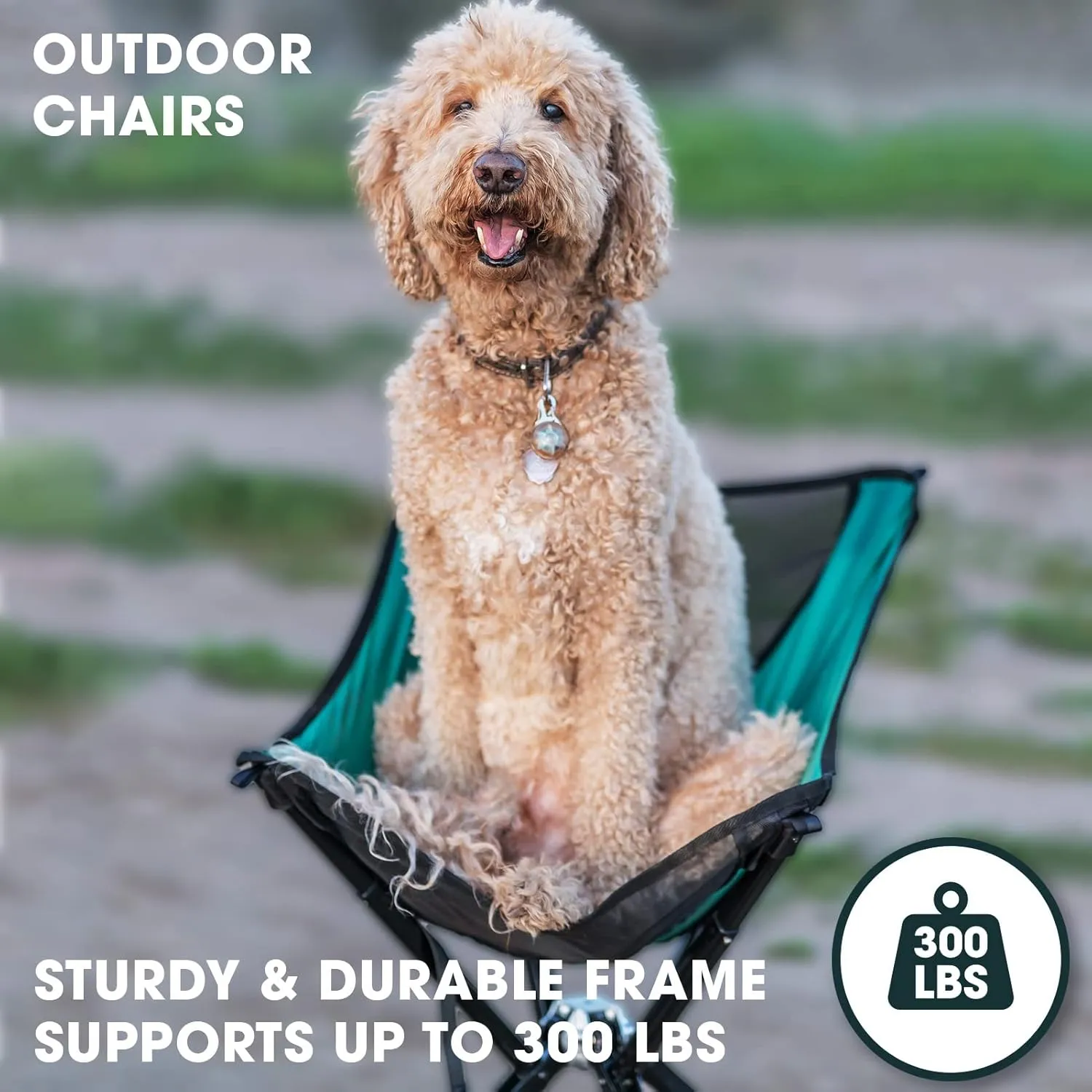 CLIQ Portable Chair - Lightweight Folding Chair for Camping - Supports 300 Lbs - Perfect for Outdoor Adventures