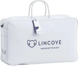 Lincove The Pillow Tote Bag - Pillow Bag For Travel, Measures 21x13x6